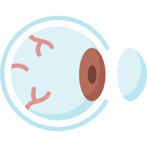 Cornea Services