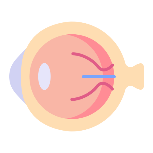 Retina Services